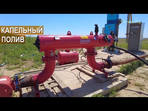 Капельный полив лука. Организация полива репчатого лука. Хозяйство Юрия Ана. Казахстан