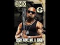 DMX - Bring Your Whole Crew