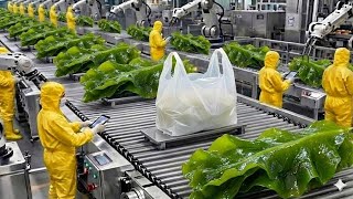 Inside a Wakame Seaweed Factory | How Edible Plastic Bags & Cups Are Made (Full Process)