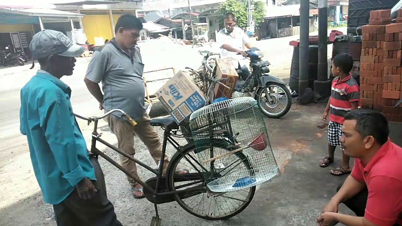 Burung langka dengan harga selangit dan tidak bs ditawar 