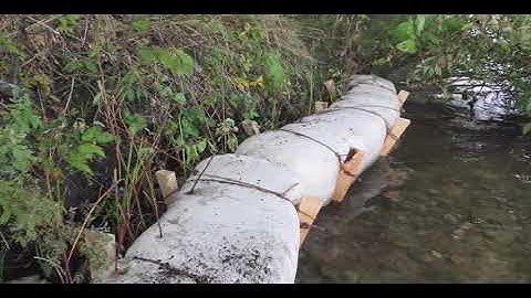 How to Restore Your Shore with Coir Logs