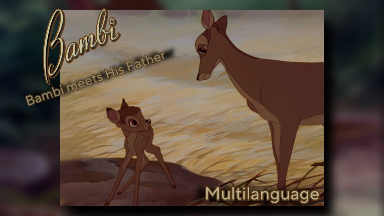 Bambi Bambi Meets His Father (One line Multilanguage) YouTube