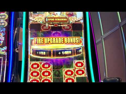 Understanding Spin-Kings Re-Verification Triggers