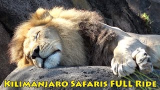 Kilimanjaro Safaris Full POV Ride at Disney's Animal Kingdom w/Lion King Spiel on Movie Opening Day