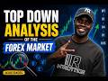 MARKET TOP DOWN ANALYSIS