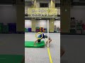 『後ろブリッジが出来るようになる❗️』#shorts #acrobatics #体操 #backflip