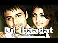 Lut Gaye X Dil Ibaadat - (Slowed+Reverbed) | Emraan Hashmi | Jubin Nautiyal | KK | Soha Ali Khan
