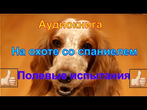 "На охоте со спаниелем" Валов Н.А. "Спаниель на полевых испытаниях"
