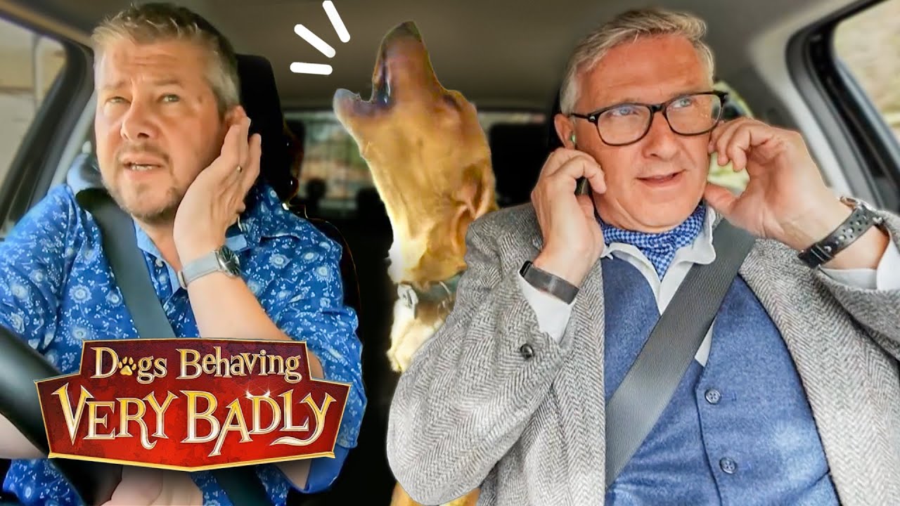 Our Dogs Turn Car Rides into a Nightmare! | Dogs Behaving Very Badly ...