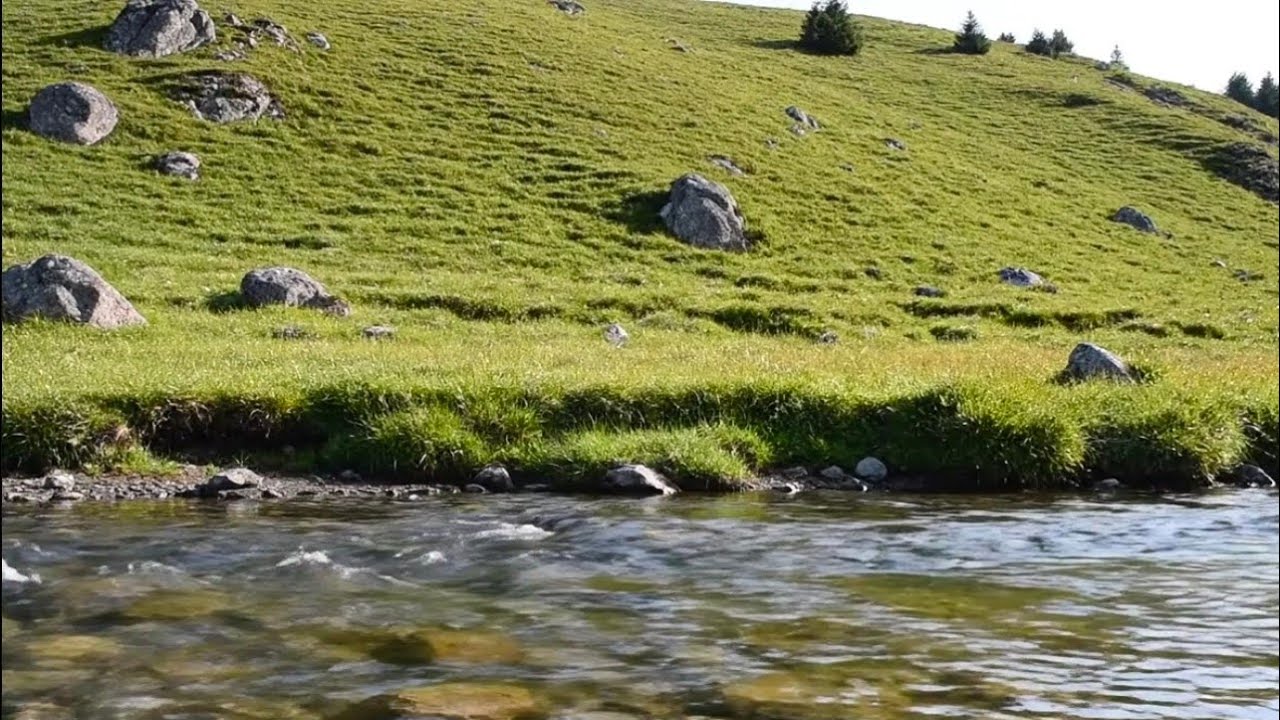 Soothing Nature River Sounds | Gentle Flowing Water Ambience for Relaxation, Study & Sleep