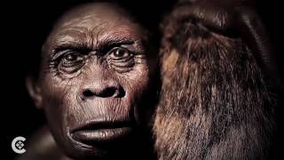 The church on evolution, science