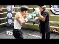 Bam Rodriguez SHOWS Gallo Estrada THE KNOCKOUT SHOT; Lights up mitts looking SHARP &amp; READY FOR WAR