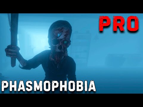 Phasmophobia (видео)