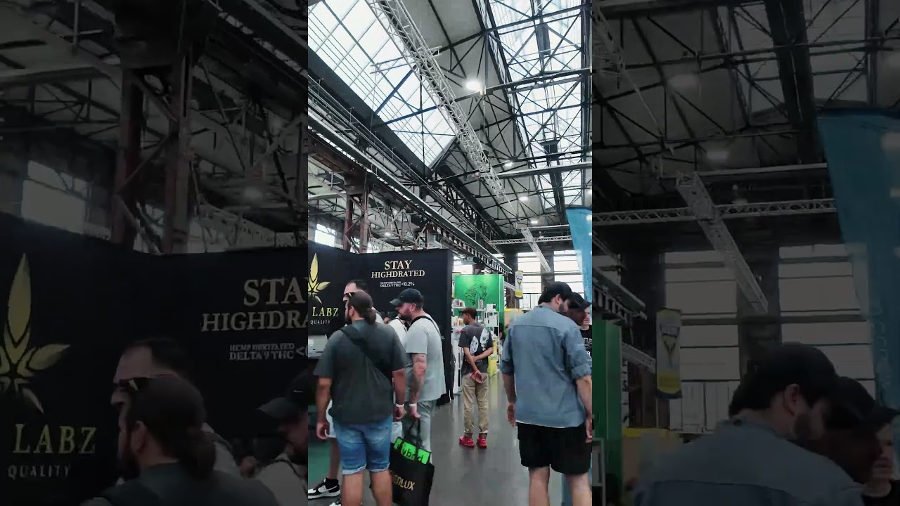 CannaFair 2025 Düsseldorf - HIER findet ihr uns! Stand B220💚| 