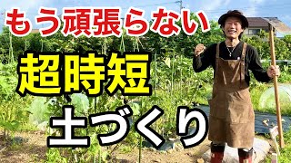 【夏に最適】たったこれだけで土がどんどんよ良くなります。　　　　　　【カーメン君】【園芸】【土壌改良】【初心者】