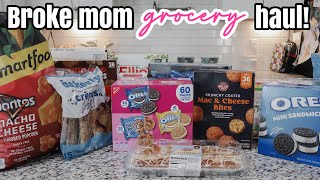 Broke Mom Grocery Haul Single Mom Grocery Haul Meal Plan
