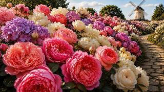 Gardens Where Flowers Take Center Stage | A Calm 4K Experience