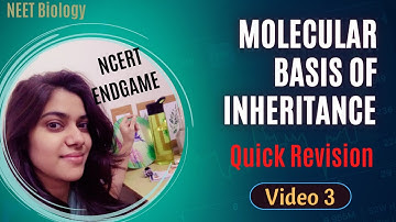 Lets have a quick revision before exam 👉🏼 | Molecular Basis of Inheritance class - 12th (Video-3) |