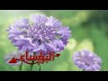 البؤساء سبيستون البؤساء سبيستون