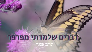 הרב פנגר - דברים שלמדתי מפרפר🦋