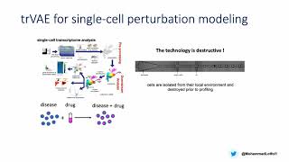 trVAE for single-cell perturbation modelling