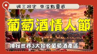 今天竟是「葡萄酒情人節」！每月14號都能過情人節？揭祕世界3大知名葡萄酒產區、紅白酒美食搭配攻略！｜#廖科溢 #葡萄酒 #情人節