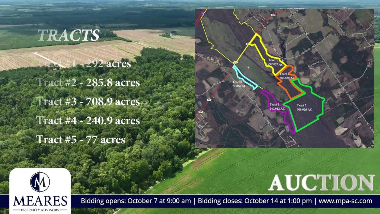 Auction: 1,600 +/- Acres of Recreational/Hunting Land