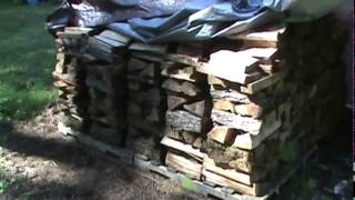 Firewood Curing  the inexpensive solution to dry firewood