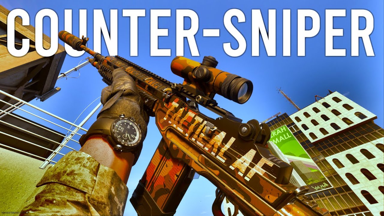 The 700IQ EBR Class in Warzone 2