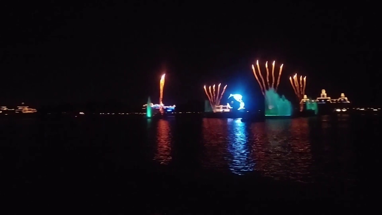 Epcot vip firework experience
