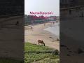 mahabalipuram beach from,, Tamil nadu 👍🙏