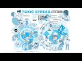 TBRI® Animate: Toxic Stress & The Brain