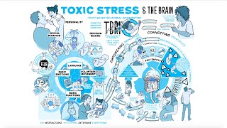 Download Lagu TBRI® Animate: Toxic Stress \u0026 The Brain MP3