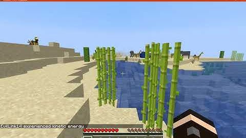 Lesser Elytra 1.16.3 Forge Mod Overview