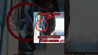 Man Steals Python - Hides It in His Pants!