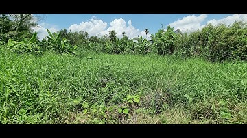 Mặt tiền Nguyễn Văn Cừ, giá 9,5 triệu/m2, cách Khu du lịch Mỹ Khánh 1km