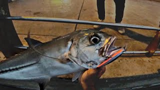 صيد السمك كاستنج جدة السعودية حداق لفاح البحر الاحمر - Fishing jeddah casting red sea Saudi Arabia