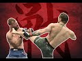 Conor McGregor - The Art of Striking