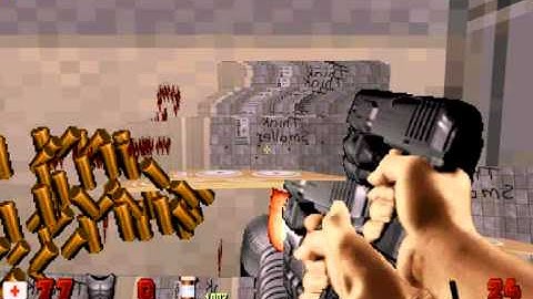 Duke Nukem- Duke Burger Glitch