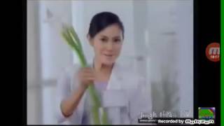 Download lagu Iklan Lavenda