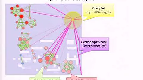 Visual interpretation of biological data using net...