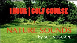 1 HOUR of Nature Sounds | Golf Course | RELAX/SLEEP/CONCENTRATE screenshot 1