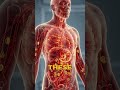This Is What Happens Inside Your Body Seconds After Eating Fried Food!