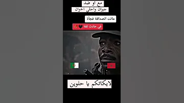 خاوتنا الجزائر المغرب 