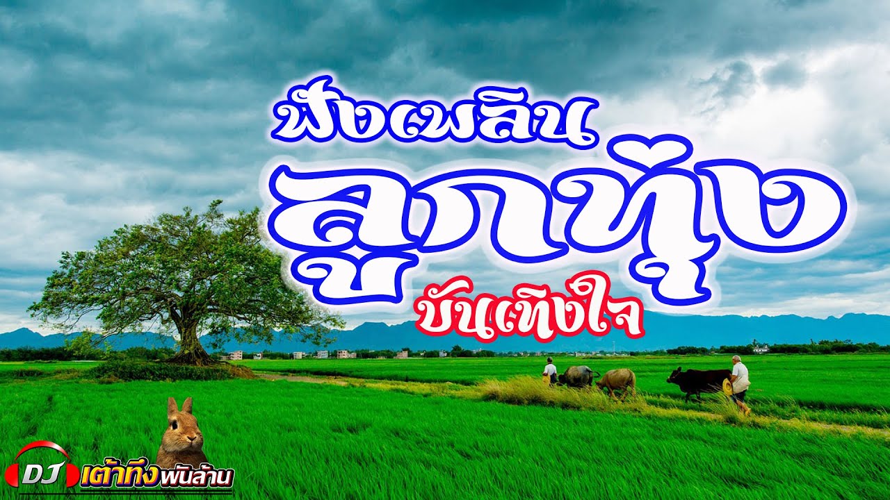 อัลบั้มลูกทุ่งฟังเพลิน บันเทิงใจ