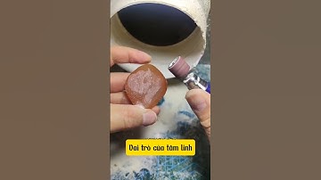 Ngọc Cá Trắm Đen Tại Long Hải