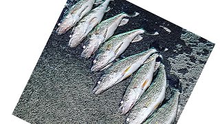 QUICK LIMIT OF MISSOURI RIVER WALLEYE IN SOUTH DAKOTA