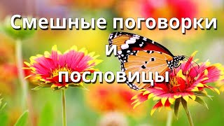 Смешные поговорки и пословицы