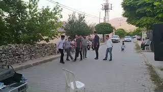 Yunaklı Ertuğrul Halay Düğün