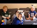 Bulldog Is So Protective Of His Baby Brothers | The Dodo